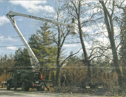 Tree trimming in St. Clair County